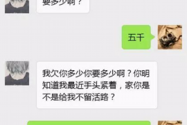 蓝山工资清欠服务