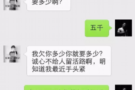 蓝山工资清欠服务